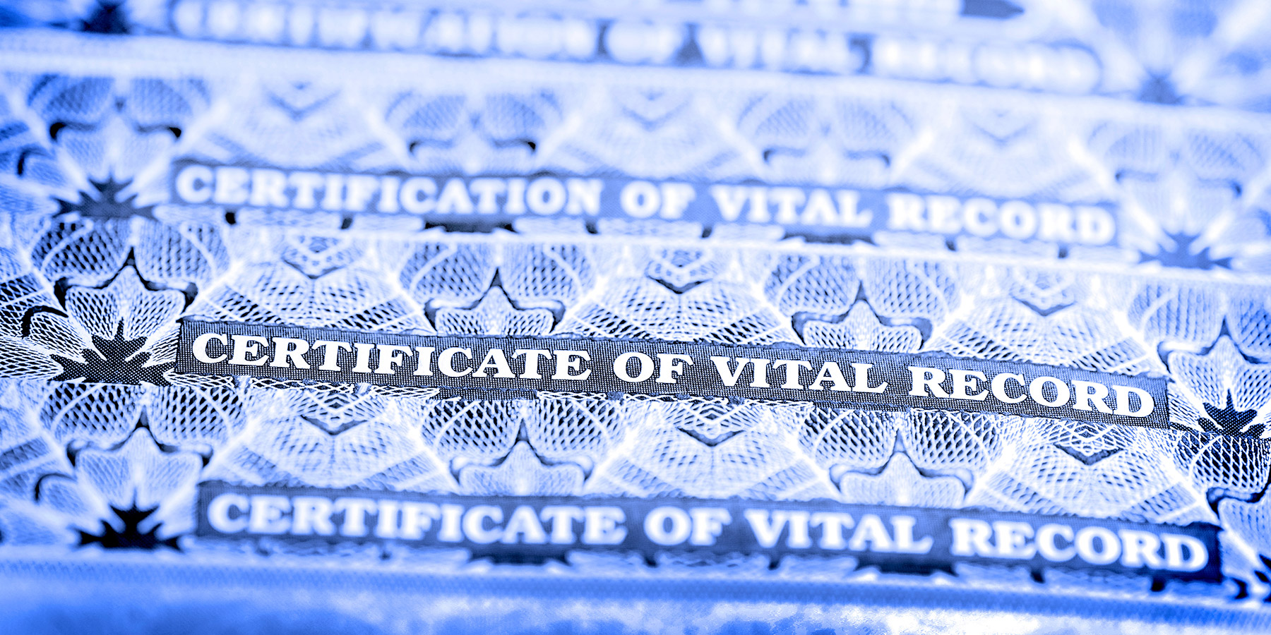 Home 4 Stack of vital record certificates