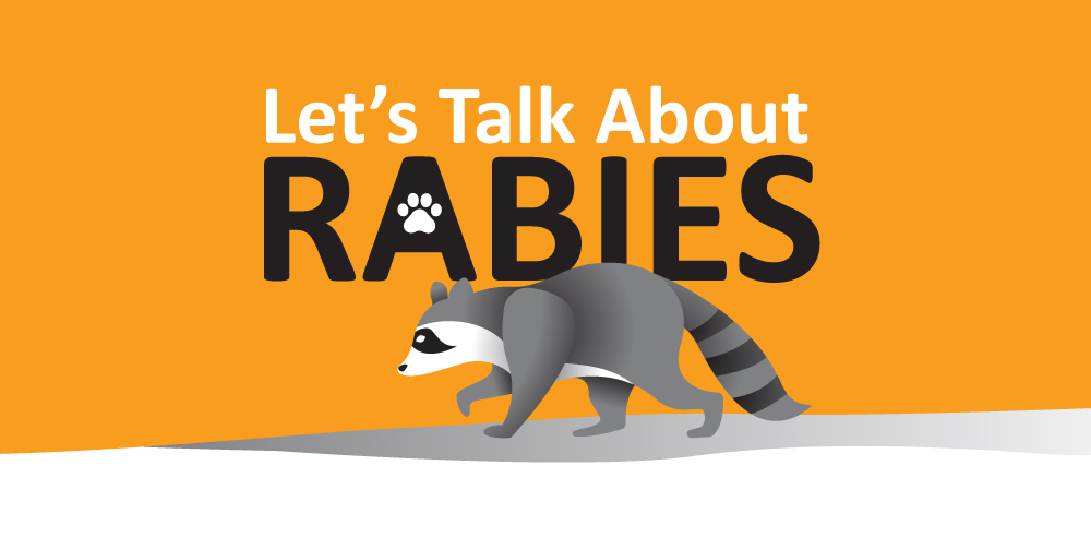 Rabies Surveillance 1 let's talk about rabies